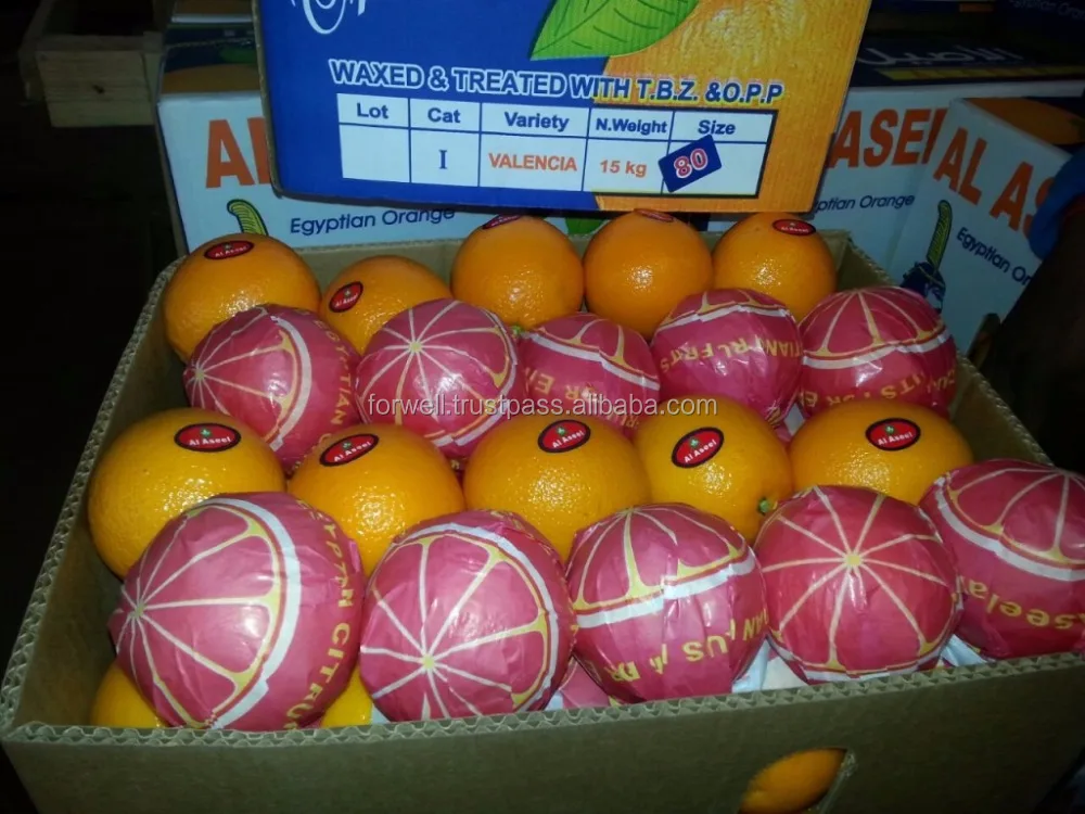 
VERY sweet FRESH oranges exporting to Russia market 