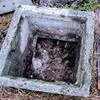 Complete septic tank care prices using biological solution