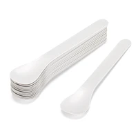 

Eco-friendly Ice Cream PLA Plastic Spoon