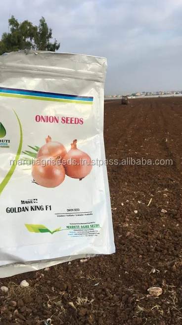 golden onion seeds f1.jpg