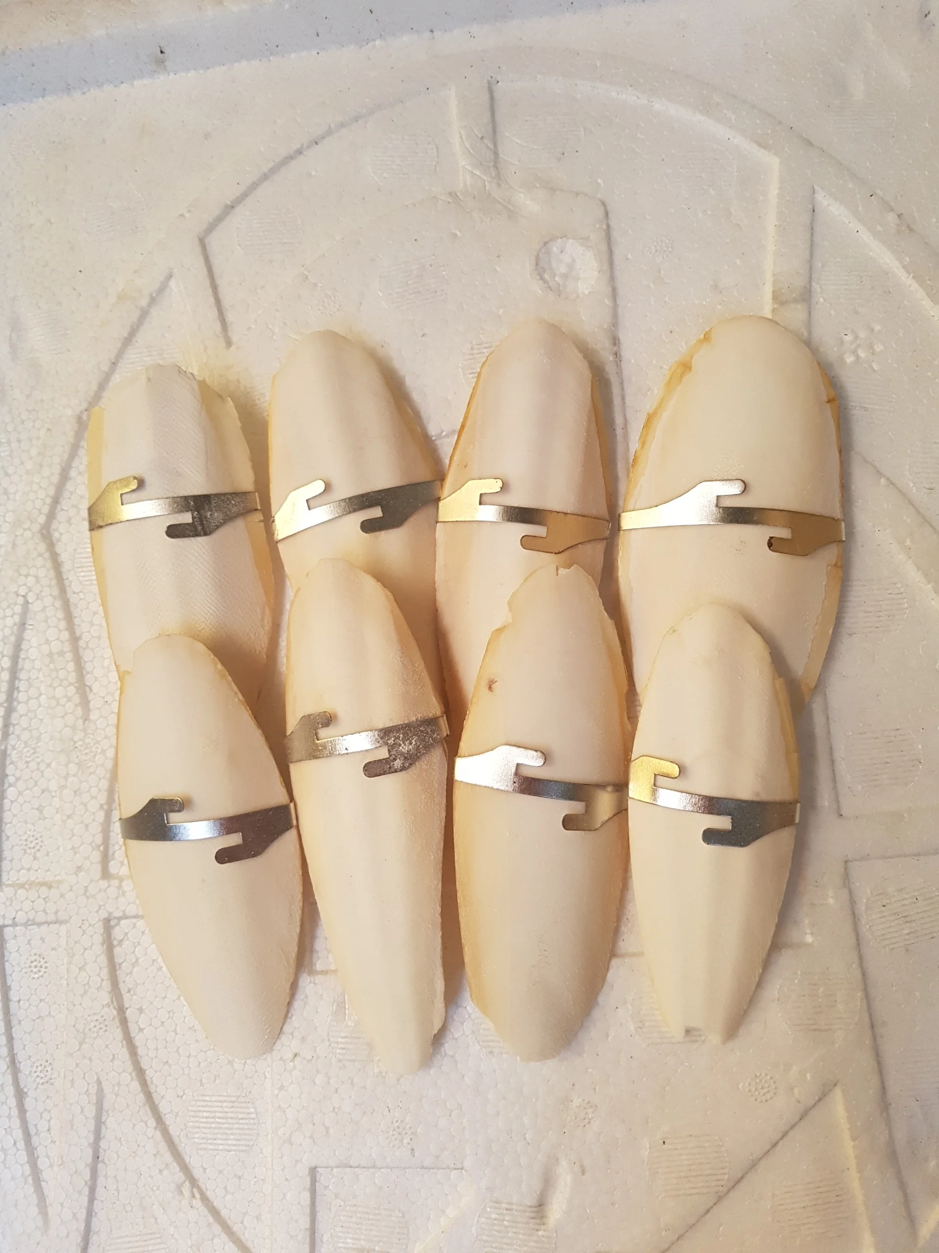 HOT SALE CUTTLEFISH BONE IN BULK/ CUTTLEBONE FOR FEED FOOD(Ms.Thi Nguyen +84 988 872 713)