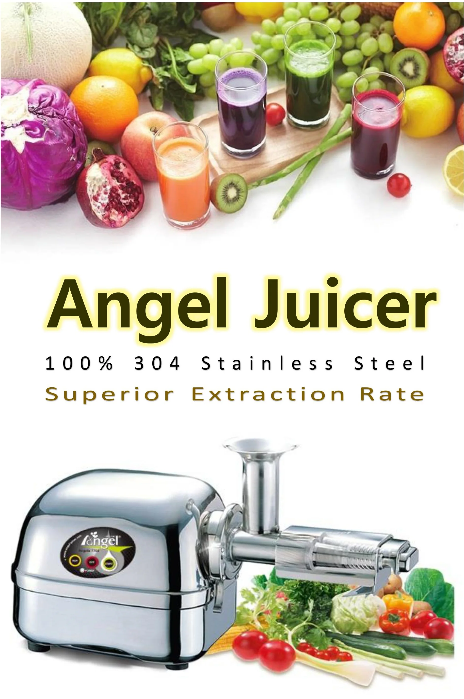 100 Stainless Steel Twin Gear Juicer For Home Use With 304,316
