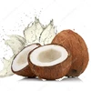 DRIED COCONUT POWDER