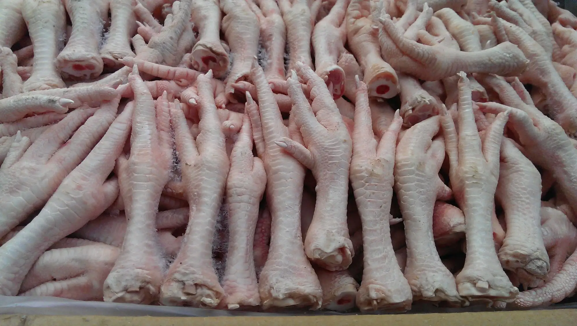 Chicken Paws At Competitive Prices Buy Frozen Chicken Paws For Sale