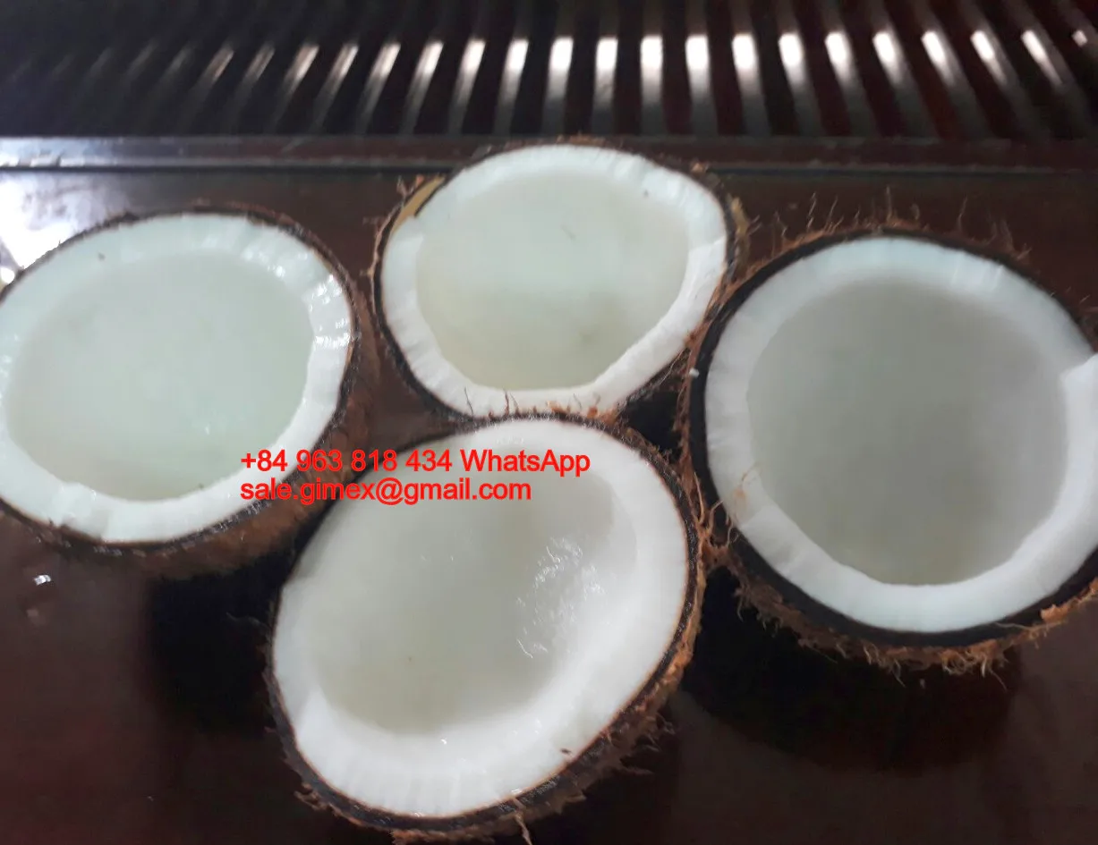 Kelapa Tua Kelapa Matang 84963818434 Whatsapp Buy Kelapa Tua Semi Dikupas Kelapa Penuh Dikupas Kelapa Product On Alibaba Com