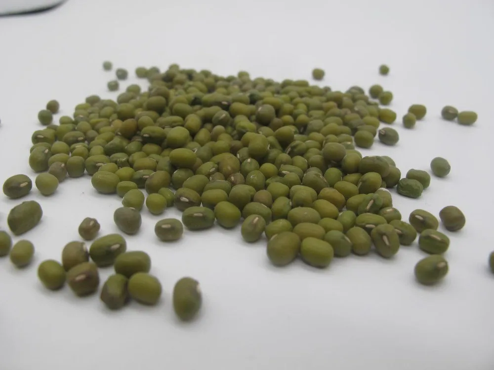 
High Quality Uzbek Green Mung 