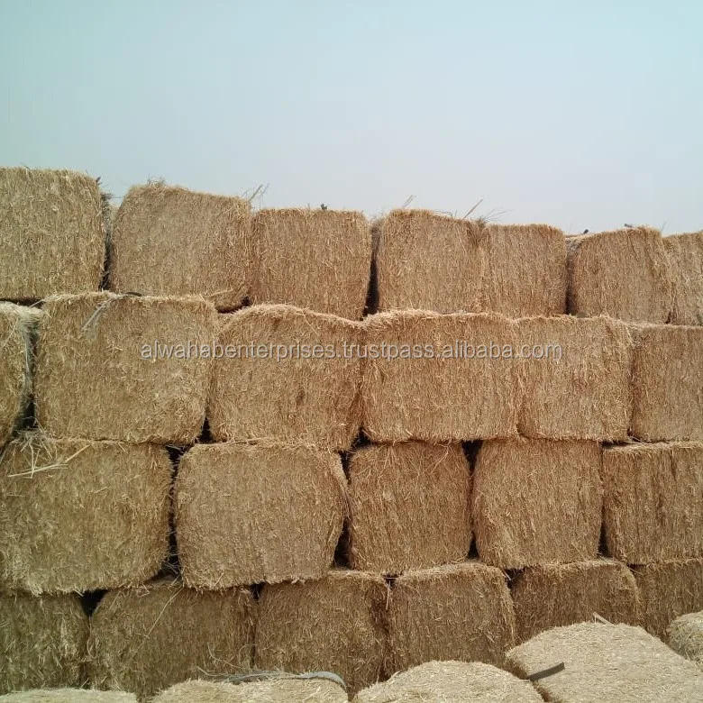 bales from pakistan - buy animal feed,wheat straw,alfalfa hay