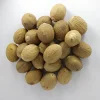 Nutmeg