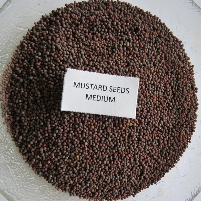 Black Mustard Seeds Buy Organic Black Mustard Seeds,Mustard Seeds In Wholesale Price,Mustard