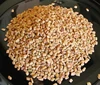 Fenugreek Sortex Clean