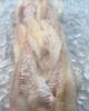 Ivp 140-220g Frozen Black Red Tilapia Fillets