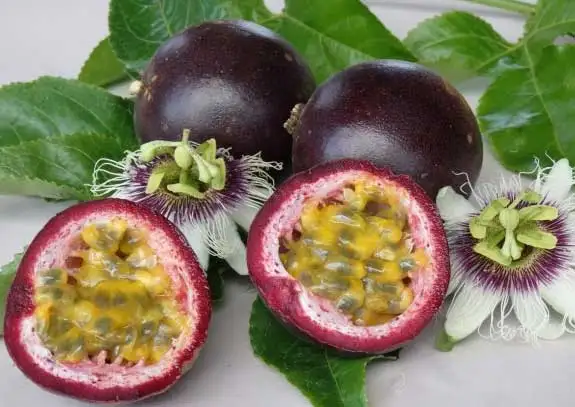 grade aaa passion fruit for sale