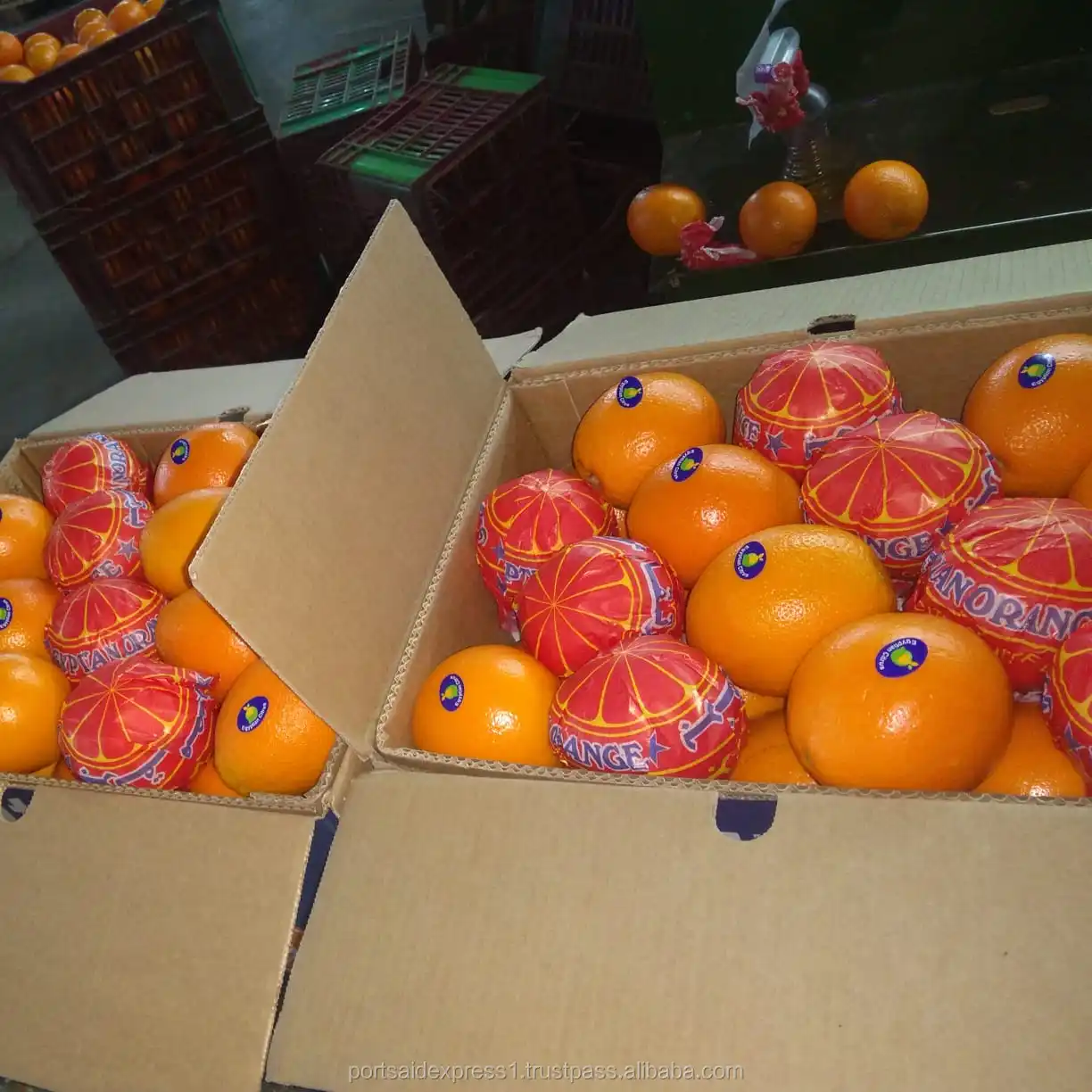 Import Oranges From Egypt Buy South African Oranges,Citrus Oranges,Import Oranges From Egypt