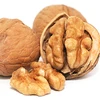 Walnut price / walnut buyers / walnut without shell