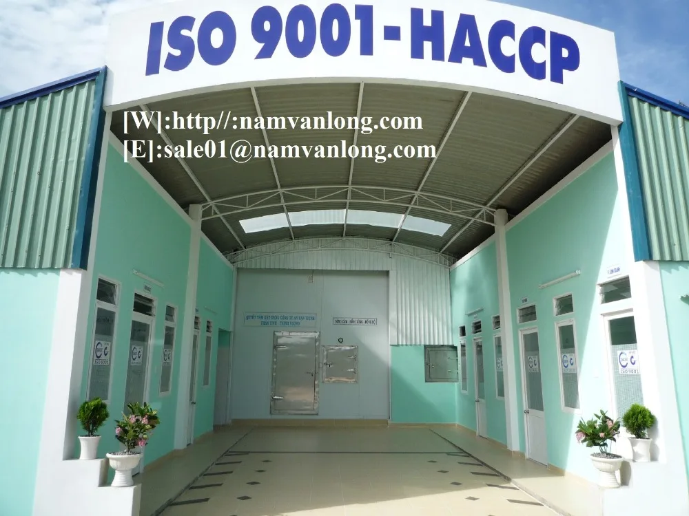 
TOP QUALITY MONTHONG DURIAN FRUIT WITH BEST PRICE AND HIGH QUALITY 