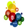 Professional Portal Design services