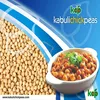 Price Of Garbanzo Beans