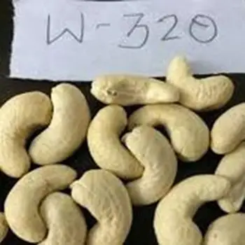 cashew raw material price
