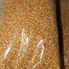 Dried Pop Corn Maize/Popcorn Maize kernel