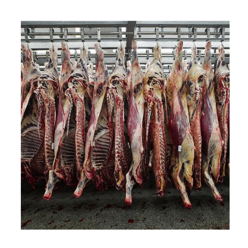 
Halal Lamb Meat In Carcass / Frozen Lamb Carcass Wholesale Premium Grade 