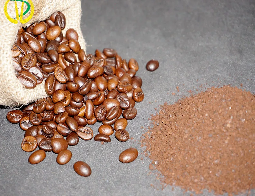 
ROBUSTA COFFEE BEANS ROASTED PRICE FOR SALE WITH DELICIOUS TASTE 