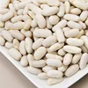 White Kidney Beans /Black Kidney Beans/Red Kidney