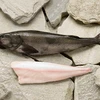 BLACK COD FISH PRICE/SABLEFISH PRICEWHOLESALE