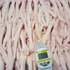 /product-detail/halal-frozen-chicken-feet-and-chicken-paws-from-brazil-sif-plant--50039349235.html