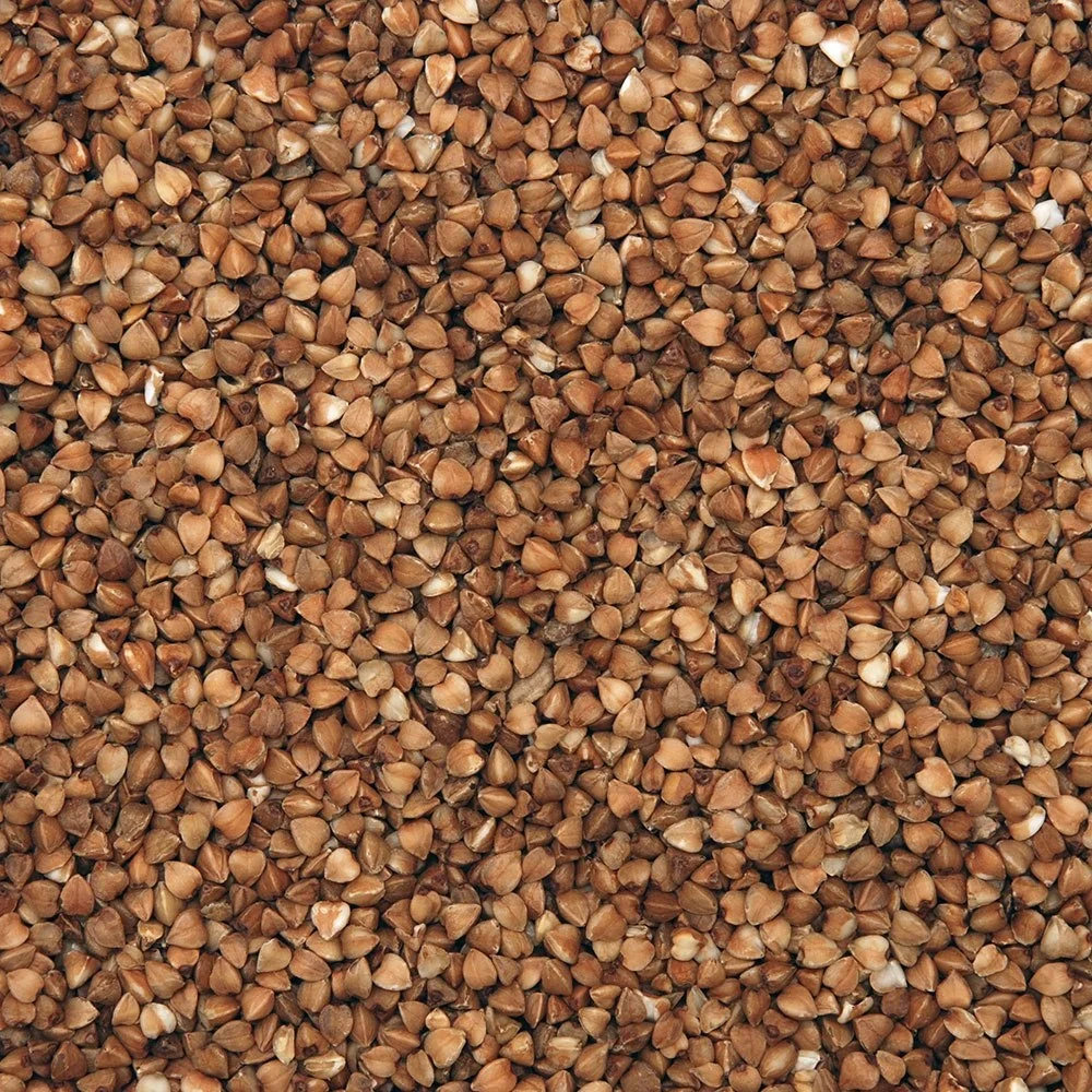 
Wholesale buckwheat 