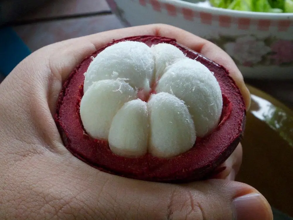 
VIETNAM FRESH MANGOSTEEN WHOLESALE 