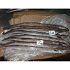 Frozen Eel / Mud Eel Fish