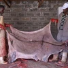 /product-detail/high-quality-dry-and-wet-salted-donkey-goat-skin-cow-hides-50045614144.html