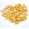 Yellow Maize And Yellow Corn From India