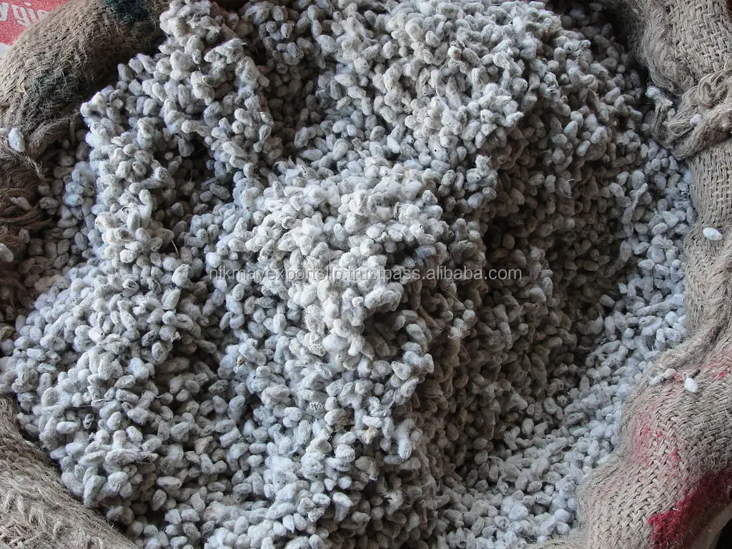 
ANIMAL FEED COTTON SEED ORIGIN INDIA FROM NIK-MAY EXPORTS LLP 