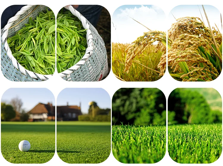 Urea Formaldehyde Slow Release High Nitrogen Fertilizer 38 Buy Uf