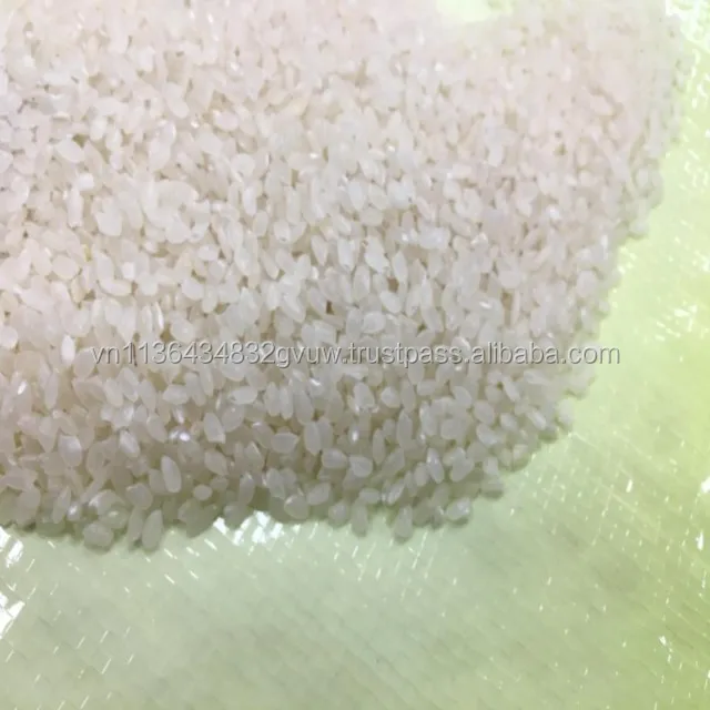 JAPONICA 2% BROKEN 69.jpg