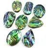 hot seller big sale special offer abalone shell stone cabochon