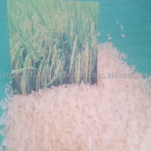 Parboiled18 - Copy.jpg