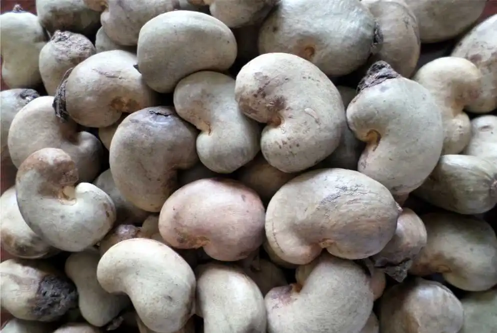 cashew nuts price per tonne