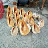 raw material sea shell from Vietnam ( Ms.Vivian +84 357122035 )