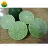 HIGH QUALITY LOW PRICE SEEDLESS LEMON FROM VIET NAM