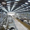 Cow shed steel structure building standard steel structure prefab workshop