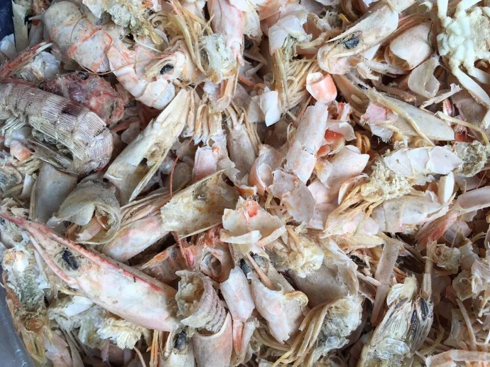 Shrimp Shell Powder / Dried Shrimp Shell For Feed Buy Dried Shrimp