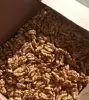 ukraine 2018 walnut in shell price