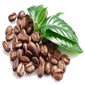 unroasted coffee beans