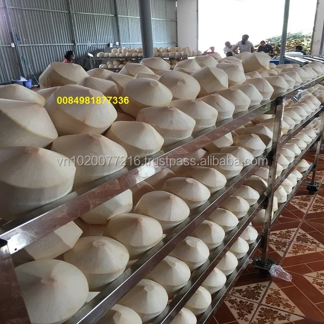 Whole Fresh Young Coconut For Export,Cheap Fresh Coconuts Buy Whole