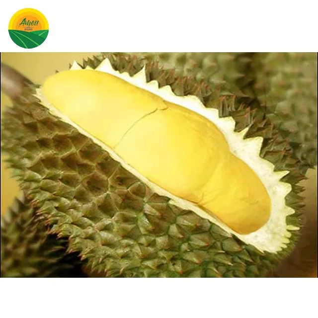 High Quality Fresh Durian For Sale From Viet Nam - Buy Fresh Durian ...