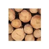 /product-detail/pine-wood-lumber-pine-logs-export-62001728523.html
