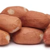 Raw Peanuts (No Shell)