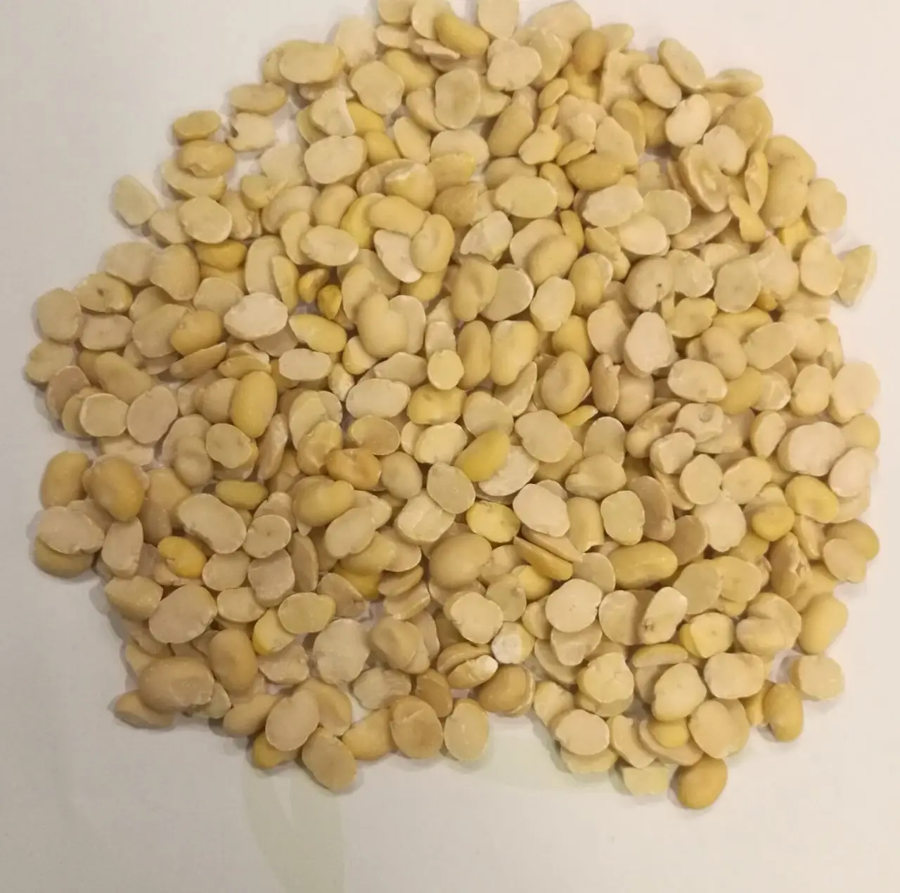 
SPLIT FAVA BEANS 